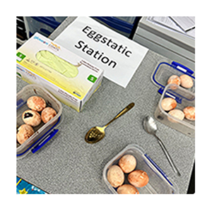 Demonstration Equipment